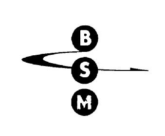 Imagen de BSM