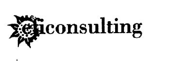 Imagen de EFICONSULTING