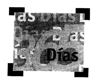 Imagen de 365 DIAS