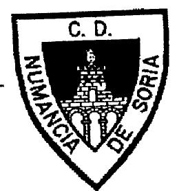 Imagen de NUMANCIA C.D. DE SORIA