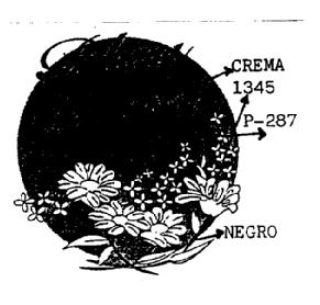 Imagen de BLAU TERRA