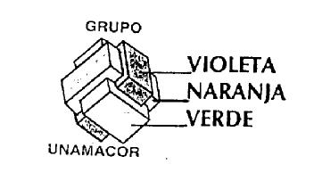 Imagen de GRUPO UNAMACOR