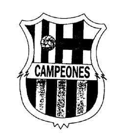 Imagen de CAMPEONES