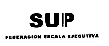 Imagen de SUP FEDERACION ESCALA EJECUTIVA