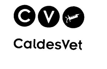 Imagen de CV CALDESVET