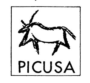 Imagen de PICUSA