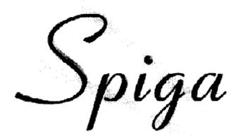 Imagen de SPIGA