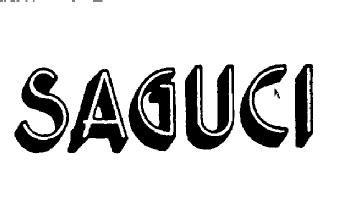 Imagen de SAGUCI