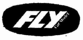 Imagen de FLY CAR MODEL