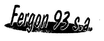 Imagen de FERGON 93 S.A