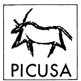 Imagen de PICUSA
