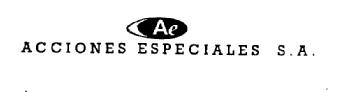 Imagen de AE ACCIONES ESPECIALES S.A