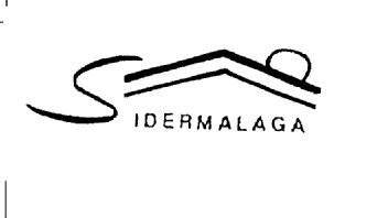 Imagen de SIDERMALAGA