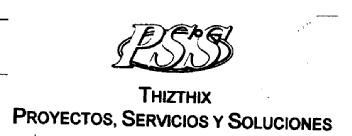 Imagen de PSS THIZTHIX PROYECTOS, SERVICIOS Y SOLUCIONES