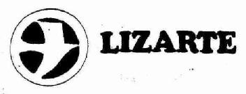 Imagen de LIZARTE