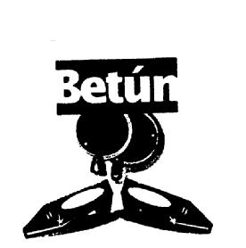 Imagen de BETUN