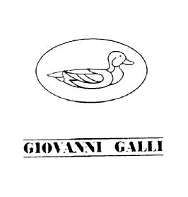 Imagen de GIOVANNI GALLI