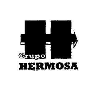 Imagen de H GRUPO HERMOSA