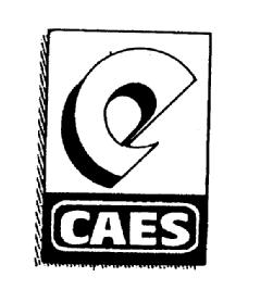 Imagen de C CAES