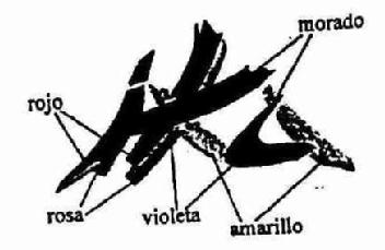 Imagen de IKA