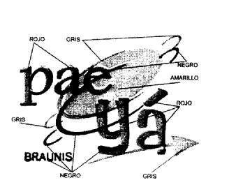 Imagen de PAE YA BRAUNIS