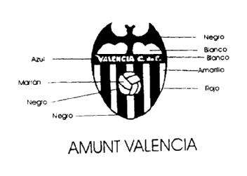 Imagen de VALENCIA C. DE F. AMUNT VALENCIA
