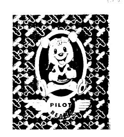 Imagen de PILOT BEAR