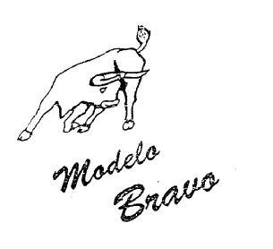 Imagen de MODELO BRAVO