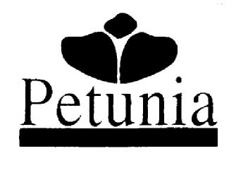 Imagen de PETUNIA