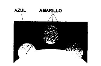 Imagen de M2133993