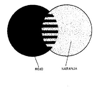 Imagen de M2151383(X)