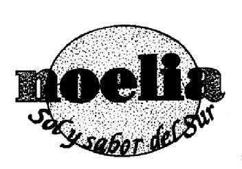Imagen de NOELIA SOL Y SABOR DEL SUR