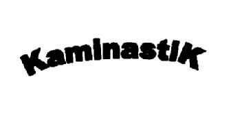 Imagen de KAMINASTIK