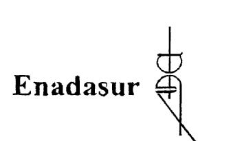 Imagen de ENADASUR