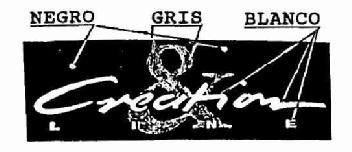 Imagen de CREATION & LINE