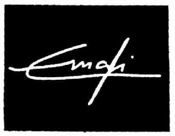 Imagen de EMAFI