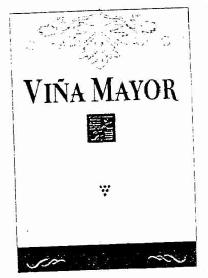 Imagen de VIÑA MAYOR