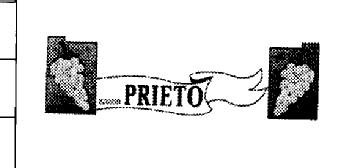 Imagen de IGNACIO PRIETO