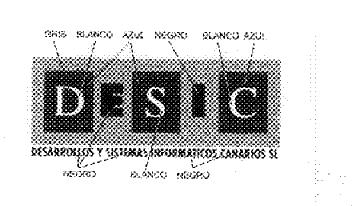 Imagen de DESIC DESARROLLOS Y SISTEMAS INFORMATICOS CANARIO S.L