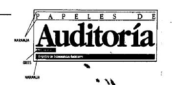 Imagen de PAPELES DE AUDITORIA REGISTRO DE ECONOMISTAS AUDITORES