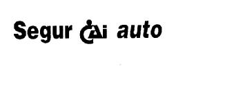 Imagen de SEGUR CAI AUTO