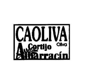 Imagen de CAOLIVA OLIVA CORTIJO ALBARRACIN