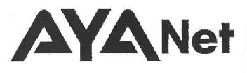 Imagen de AYA NET