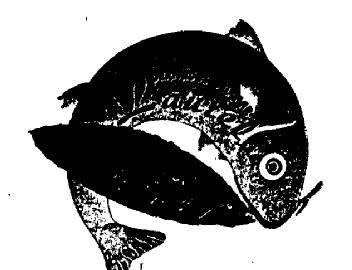 Imagen de DERIVADOS DEL MAR LAUREL