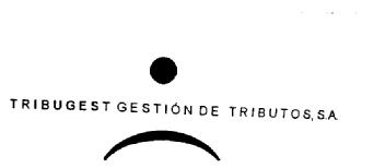 Imagen de TRIBUGEST GESTION DE TRIBUTOS, S.A