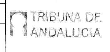 Imagen de TRIBUNA DE ANDALUCIA