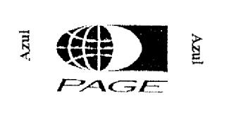 Imagen de PAGE