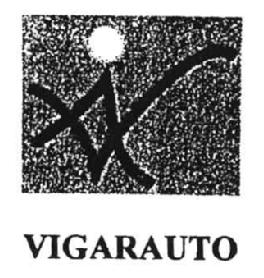 Imagen de VI VIGARAUTO