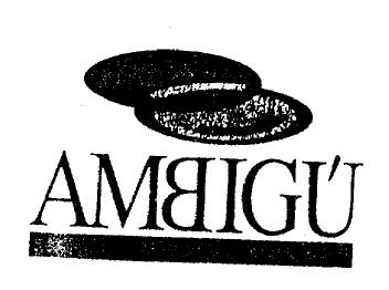 Imagen de AMBIGU