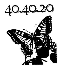 Imagen de 40.40.20